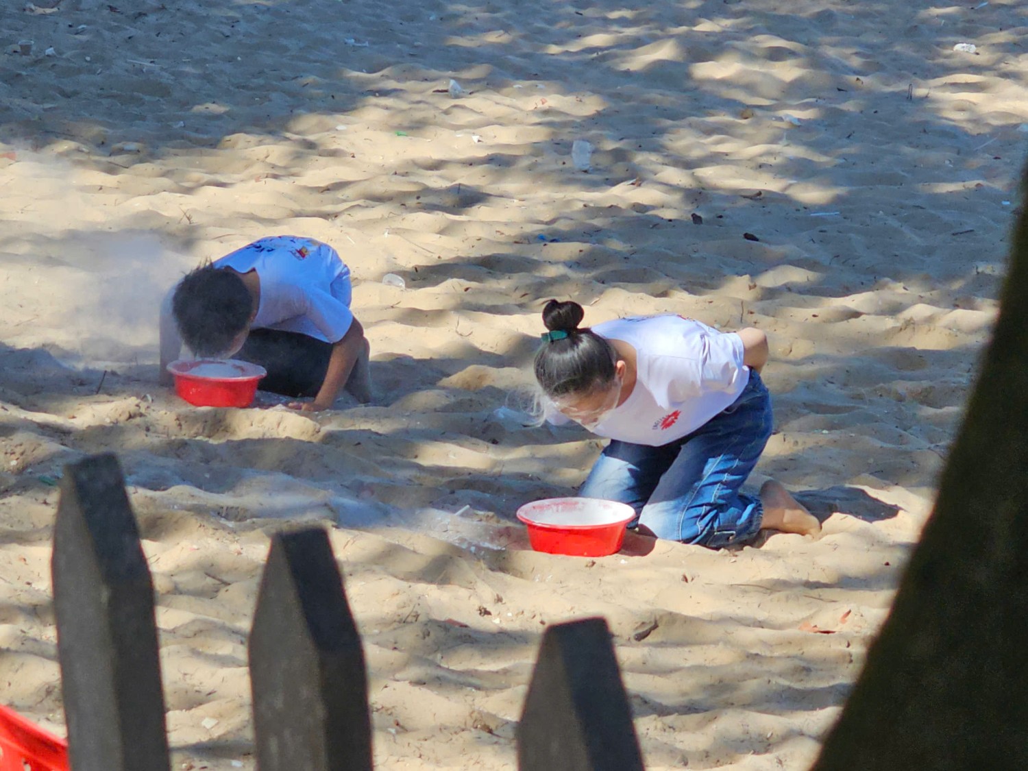 Sinh hoạt dã ngoại CLB Tiếng Anh 2024 - 2025