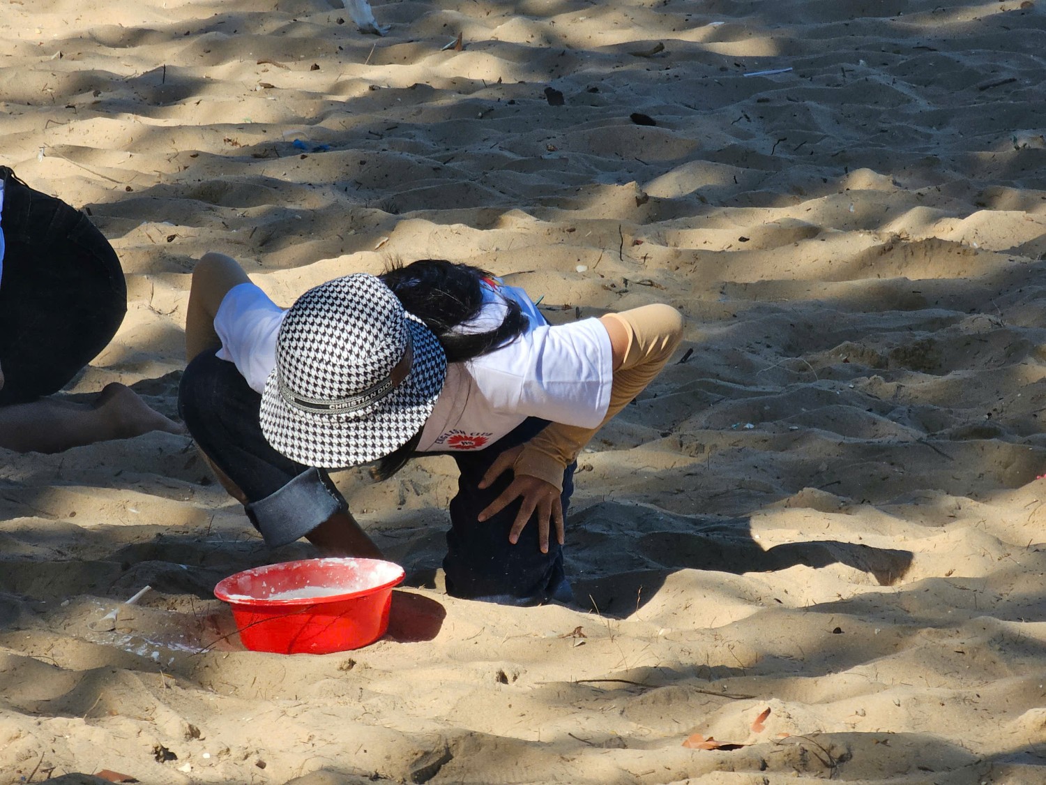 Sinh hoạt dã ngoại CLB Tiếng Anh 2024 - 2025