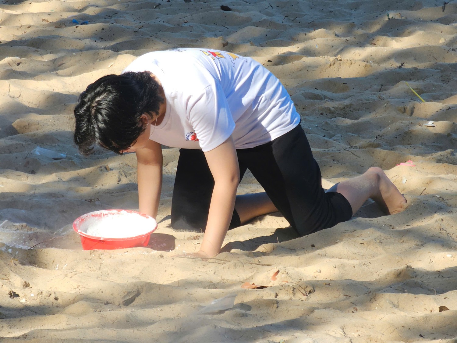 Sinh hoạt dã ngoại CLB Tiếng Anh 2024 - 2025